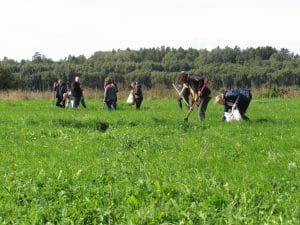 Bioloģiski vērtīgas pļavas atjaunošana, Latvianature