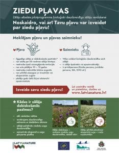 LatViaNature Ziedu pļavas infografika
